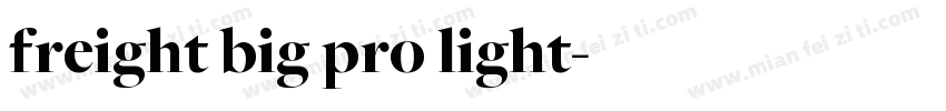 freight big pro light字体转换